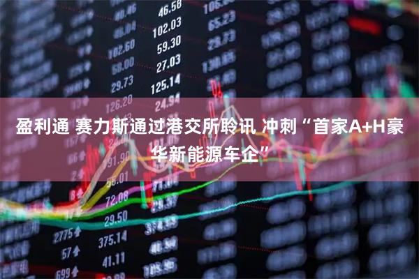 盈利通 赛力斯通过港交所聆讯 冲刺“首家A+H豪华新能源车企”