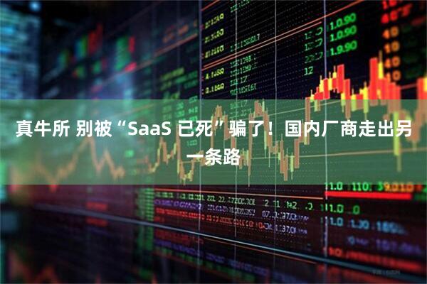 真牛所 别被“SaaS 已死”骗了！国内厂商走出另一条路