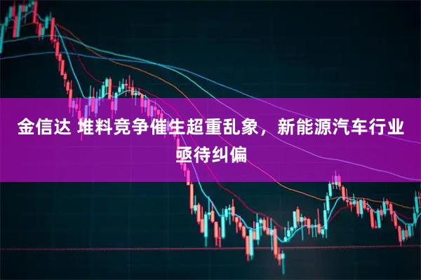 金信达 堆料竞争催生超重乱象，新能源汽车行业亟待纠偏