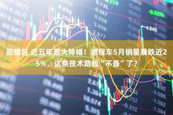股腰包 近五年最大降幅！增程车5月销量暴跌近25%，这条技术路线“不香”了？